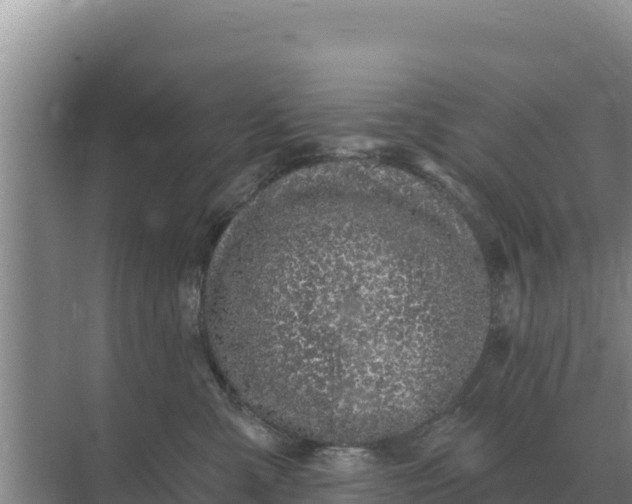 X0000071770427200607150033