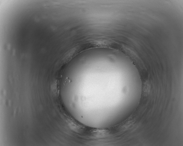 X0000071770428200607150033