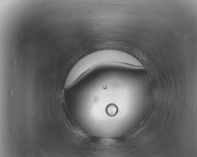 X0000071770429200607150033