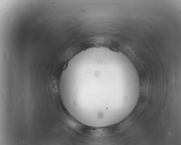 X0000071770430200607150033