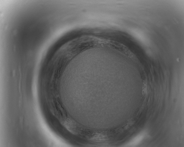 X0000071770431200607150033