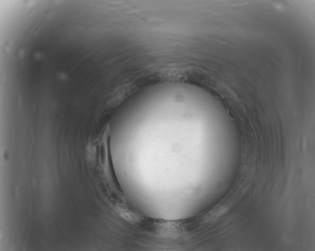 X0000071770432200607150033