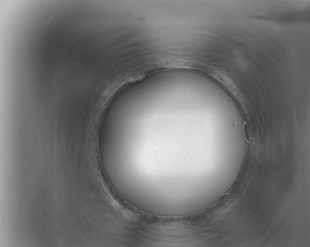 X0000071770433200607150032