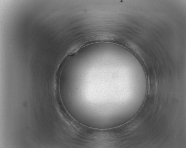 X0000071770435200607150032