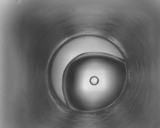 X0000071770436200607150032