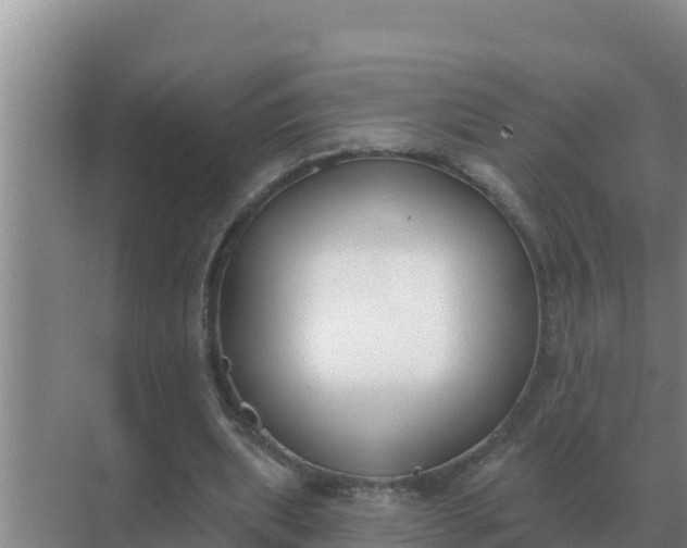 X0000071770439200607150032