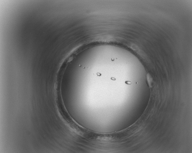 X0000071770440200607150032