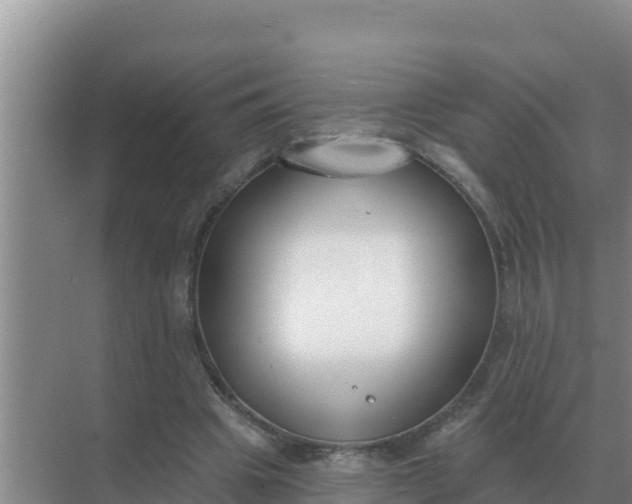 X0000071770441200607150032