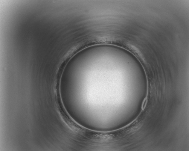 X0000071770443200607150032