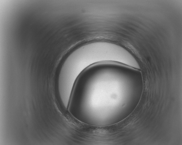 X0000071770444200607150032