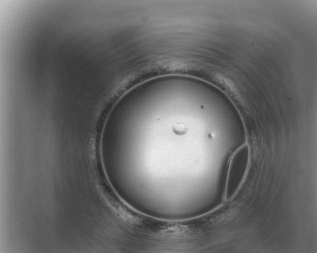 X0000071770447200607150032