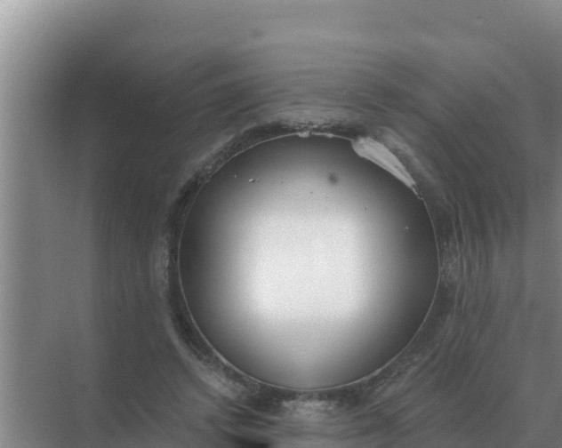 X0000071770448200607150032