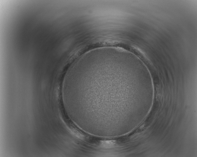 X0000071770451200607150032