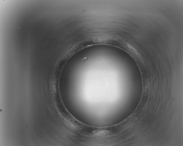 X0000071770452200607150032