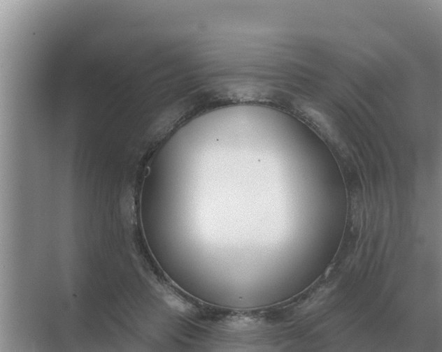 X0000071770453200607150033