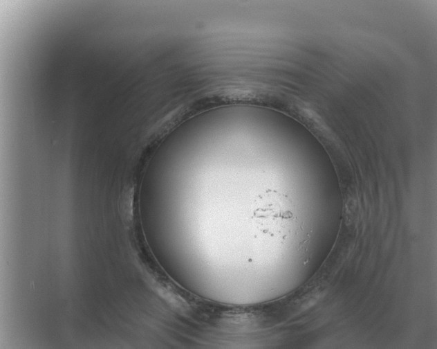 X0000071770454200607150033