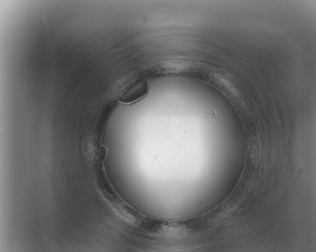 X0000071770455200607150033