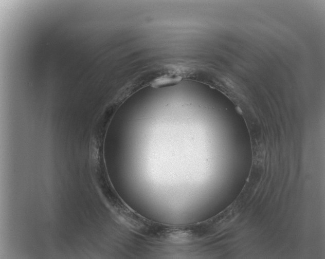 X0000071770456200607150033