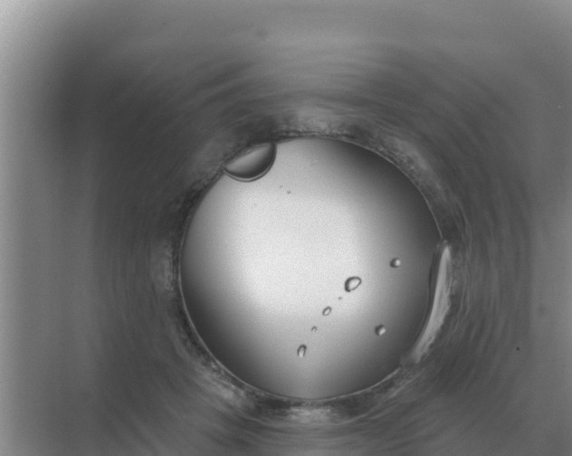 X0000071770457200607150033