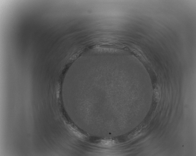 X0000071770458200607150033