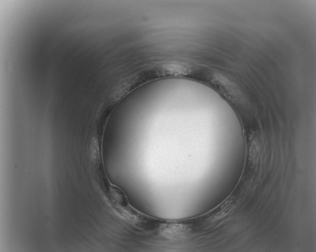 X0000071770459200607150033