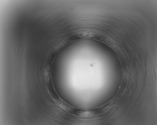 X0000071770460200607150033