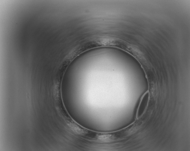 X0000071770461200607150033