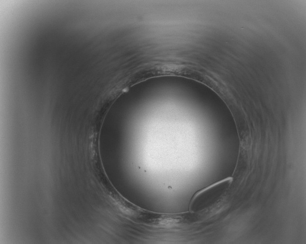 X0000071770462200607150033