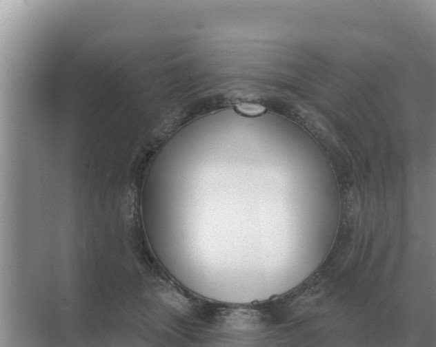 X0000071770463200607150033