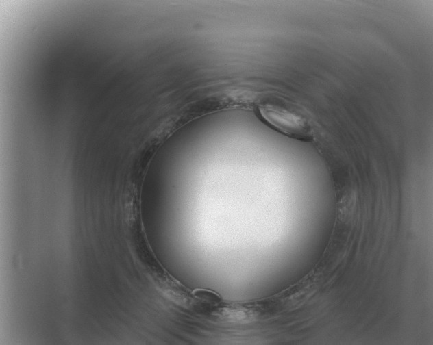 X0000071770464200607150033