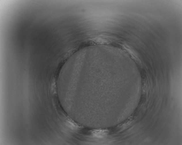 X0000071770465200607150033