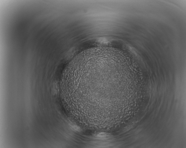 X0000071770467200607150033