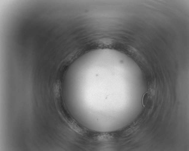 X0000071770468200607150033