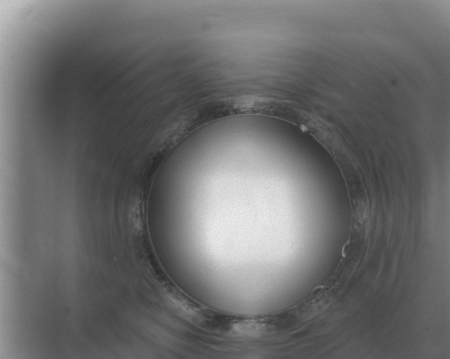 X0000071770470200607150033