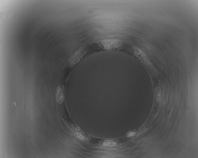 X0000071770471200607150033