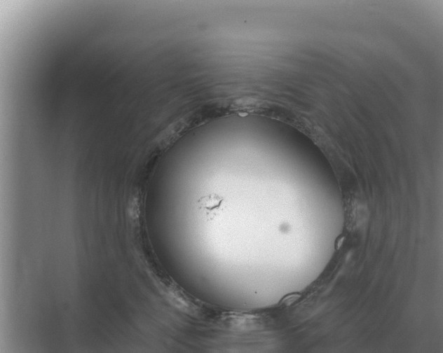 X0000071770472200607150033