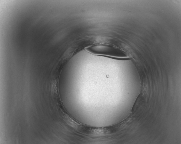 X0000071770473200607150033