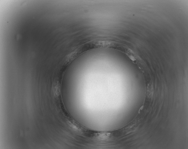 X0000071770474200607150033