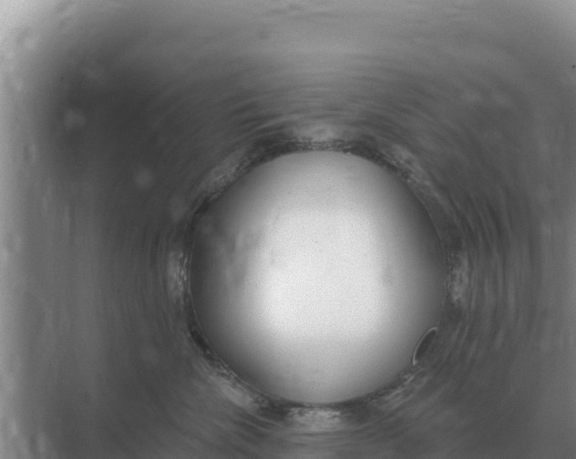 X0000071770476200607150033