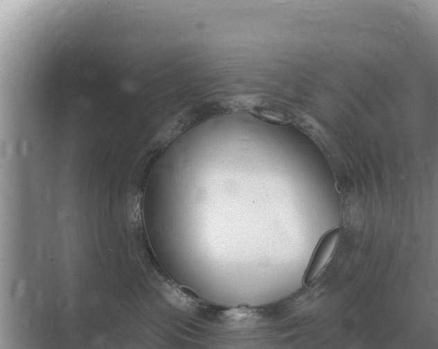 X0000071770477200607150033