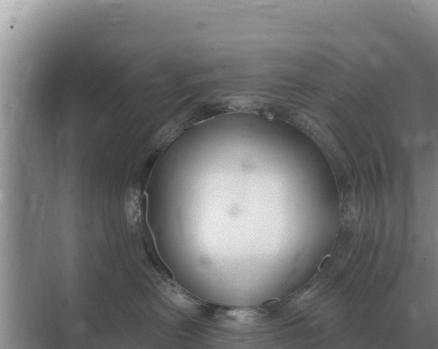 X0000071770478200607150033