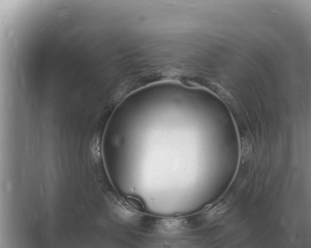 X0000071770479200607150033