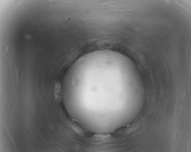 X0000071770480200607150033