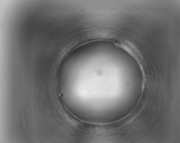 X0000071770481200607150032