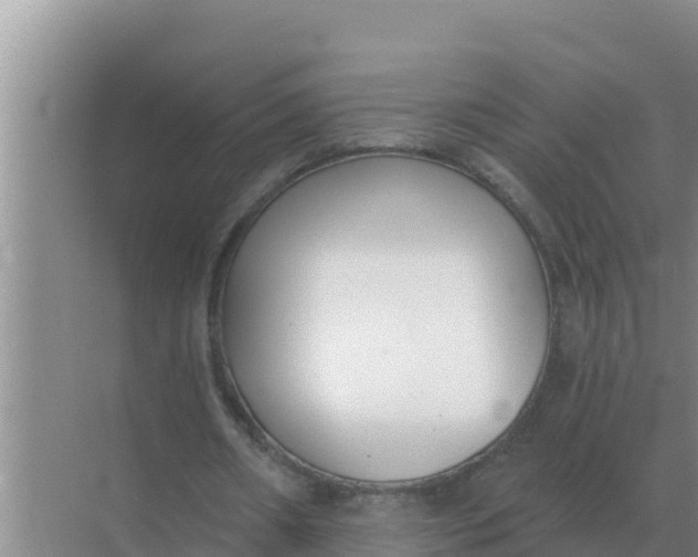 X0000071770482200607150032