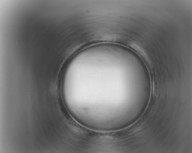 X0000071770483200607150032