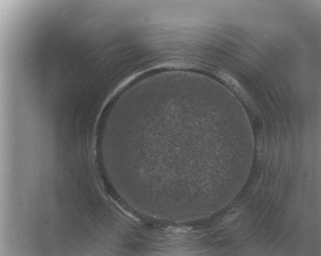 X0000071770484200607150032