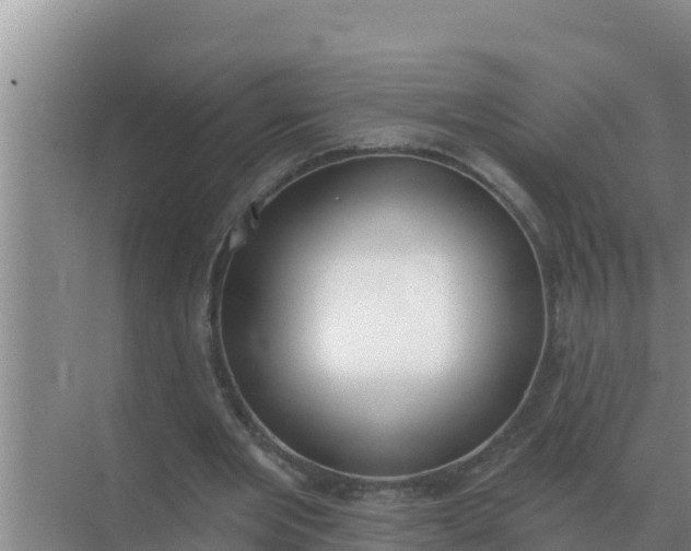 X0000071770485200607150032