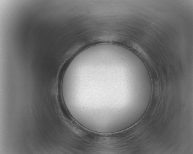 X0000071770486200607150032