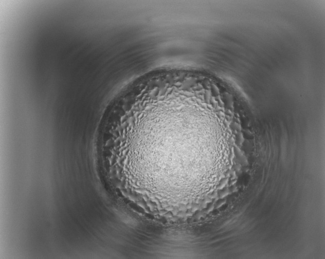 X0000071770487200607150032